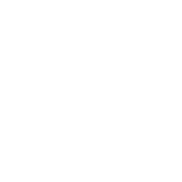 Bay Information Systems Logo